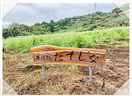 2025年「令和波多打そば」